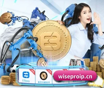 赛前情报分析